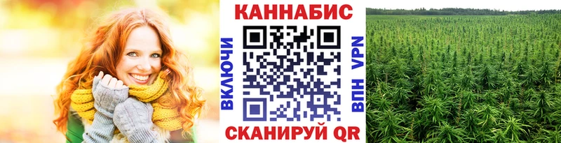 Купить наркоту Венёв Cocaine  Меф  Галлюциногенные грибы  мега tor  APVP  Гашиш 