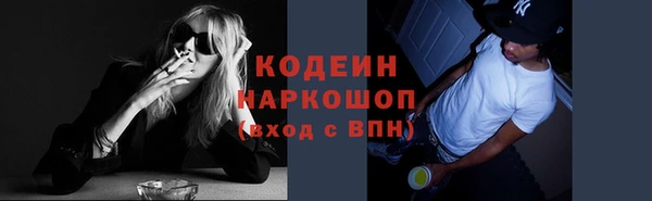 спиды Арсеньев